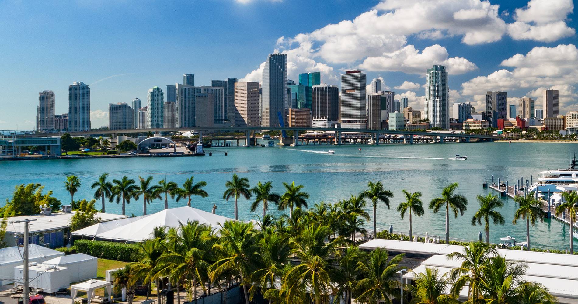 Panorama di città americana tropicale con palme, ideale per investimenti immobiliari e lifestyle internazionale.